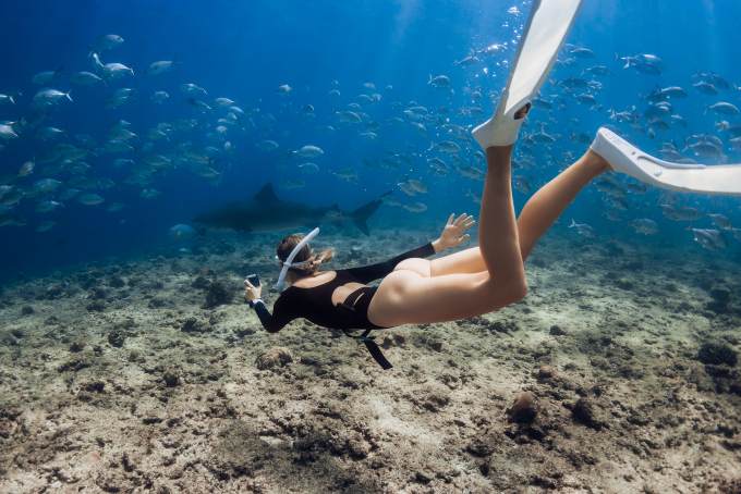 Snorkel with the Dolphins in the Caribbean